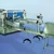 Heavy Duty Semi-Automatic Bottle Filling Machine
